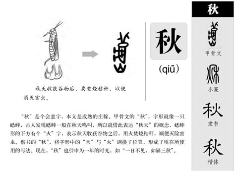 秋 五行|秋字的五行属性